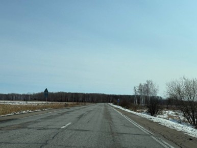 Запрет на посещение лесов вводится с 11 апреля в ЕАО