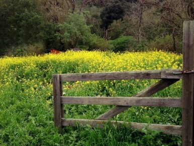 �������� � ���������: ��� ��������� �������� ����� � �������� ������� ������