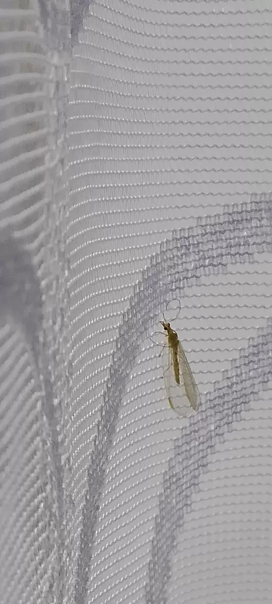 Встреча с природой: удивительные моменты из октября