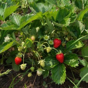 �������� ��� �����: 10 ������ ��� ������� � ������� ������