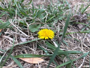 13 апреля: Прогноз погоды и советы астрологов