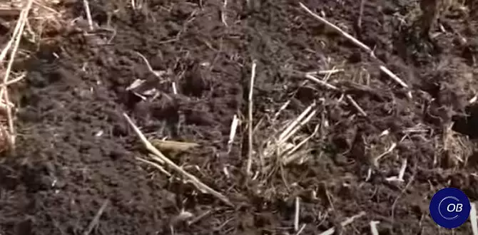 Эффективные методы весеннего ухода за садом: советы для дачников