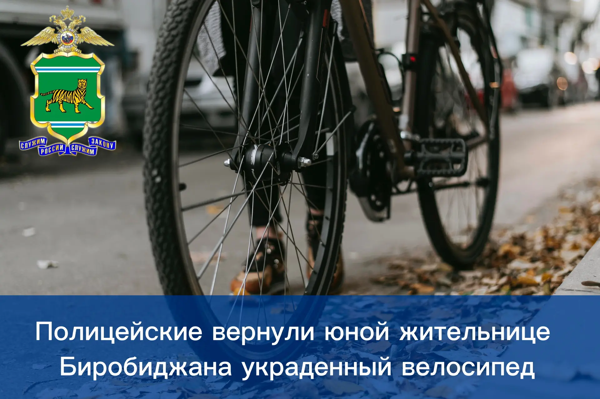 Полицейские вернули юной жительнице Биробиджана украденный велосипед