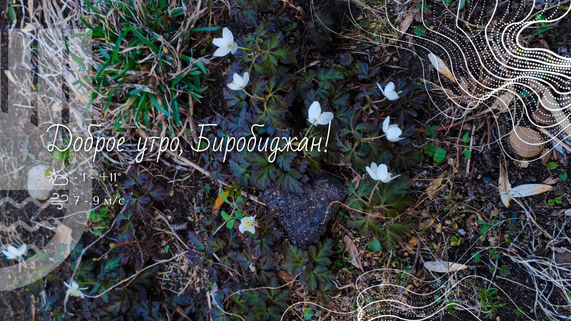 Шалом, Биробиджан!. Знаете, какой сегодня день? 14 апреля — Всемирный квантовый день