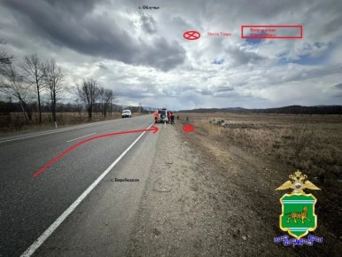 В Еврейской автономной области на трассе в одиночном ДТП погиб водитель
