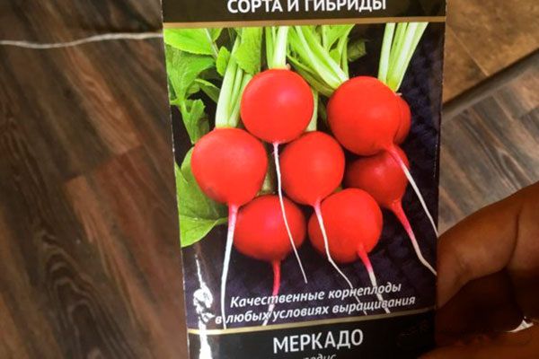 ����� �������: �� ����� �� �������������� ��������