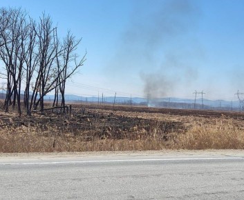 � ����������� ��������� ������������� ������