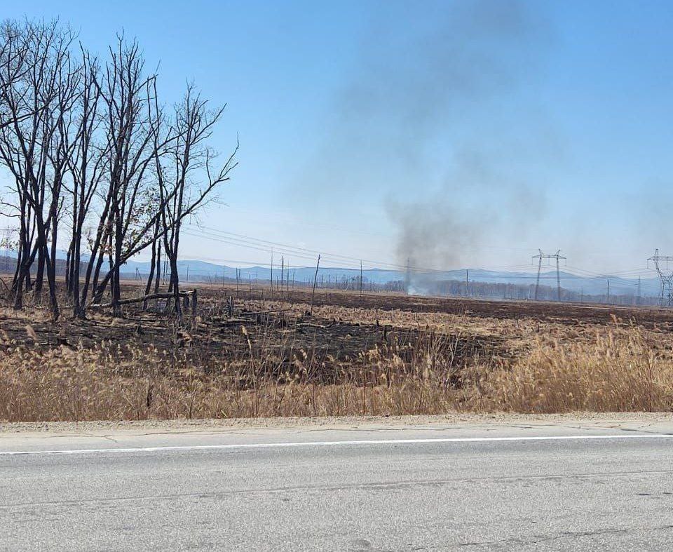 В Биробиджане действует пожароопасный период