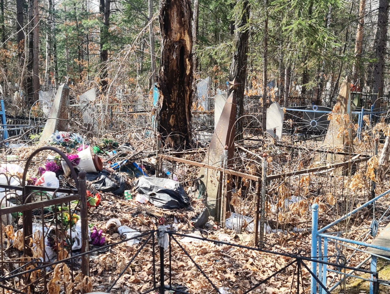 В Биробиджане идет подготовка к Родительскому дню В Биробиджане идет подготовка к Родительскому дню