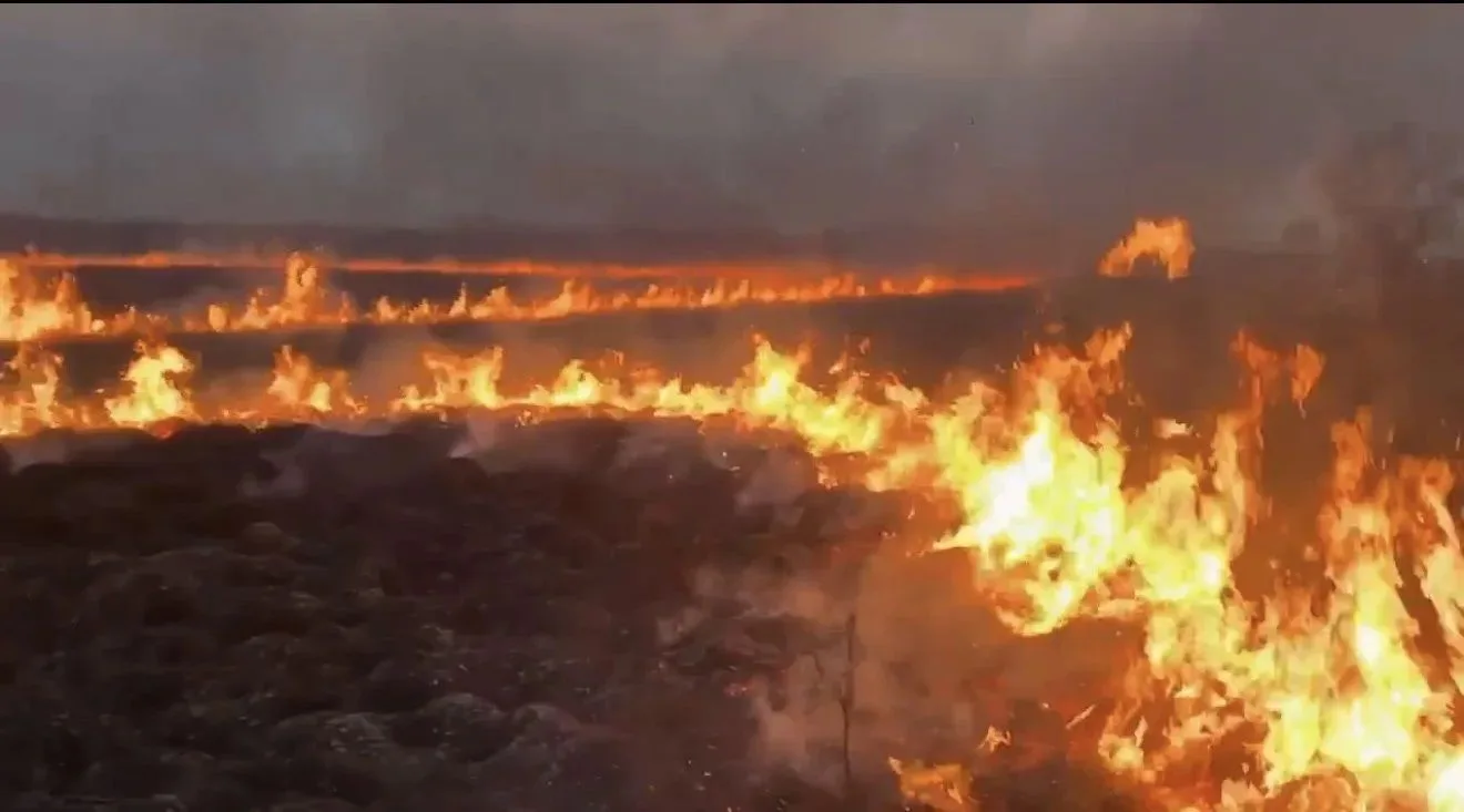 Более 100 человек задействовано на тушении пожаров в ЕАО Более 100 человек задействовано на тушении пожаров в ЕАО