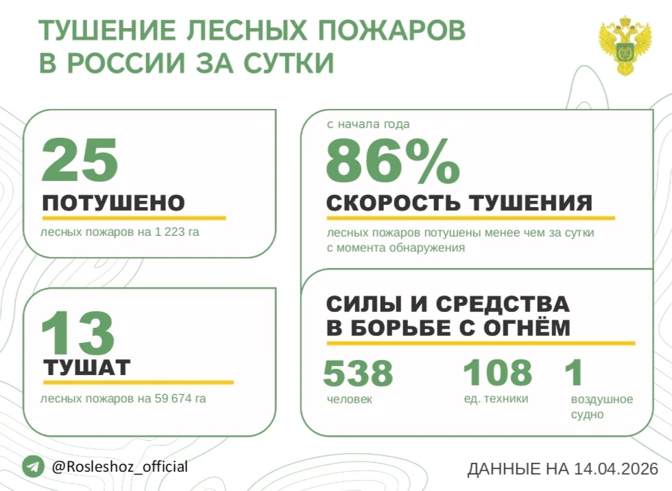 За прошедшие сутки в 8 регионах России потушили 25 лесных пожаров