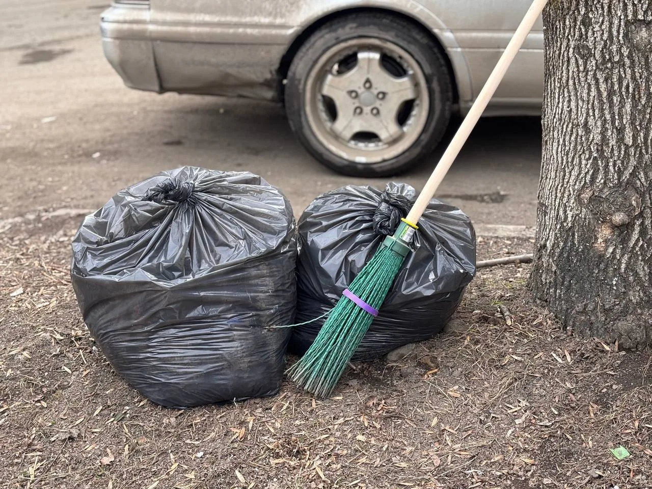 17 апреля в Биробиджане пройдет общегородской субботник