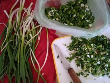 Тайны чеснока: как заморозить урожай и всегда иметь свежий вкус под рукой