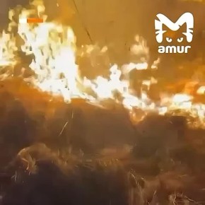 ����� ������� ������ ����� � ������ �������� � ���