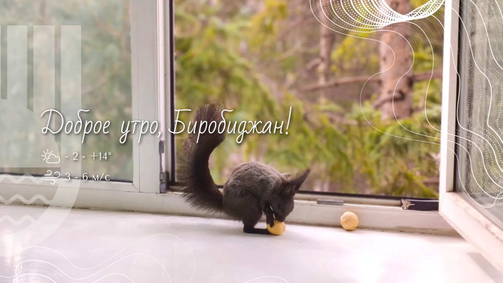 Шалом, Биробиджан!. На календаре — День экологических знаний, и он напоминает нам: мы живём не сами по себе, а внутри огромного, хрупкого, удивительного мира