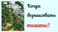Когда и как правильно вершковать томаты: практическое руководство
