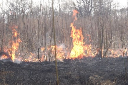 � ��� ������������ ������ �� ���������� ������ �������