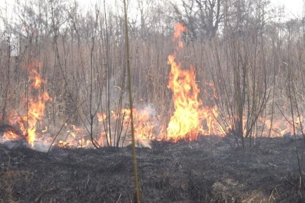 2 ������ ������ �� ������� ������� 67 ����� �������� ����������� � ���