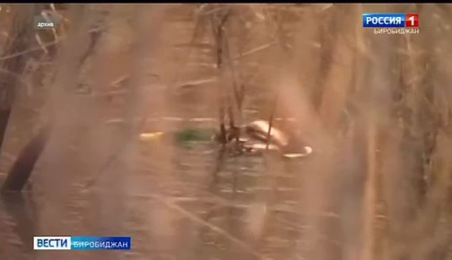 ������ � ��� ������� ����� ����� �� ���� � �����