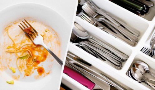 ������ ��������� �����: ��� ����� �������� �� ����� �������