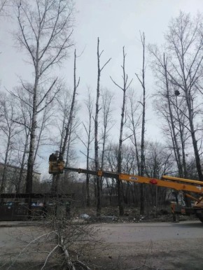 ������ ����� ������� � ���������� ������ ��� �����������