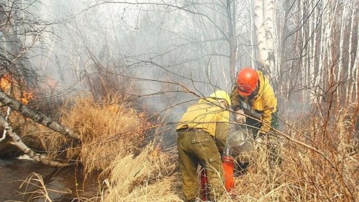 � ��� ����������� ������ ����� � ����������� ������