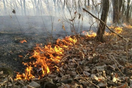 ����������: � ������� ������ ������ ��������������� �����