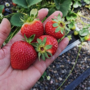 ����� � ��� ��������� �������� ��� ��������