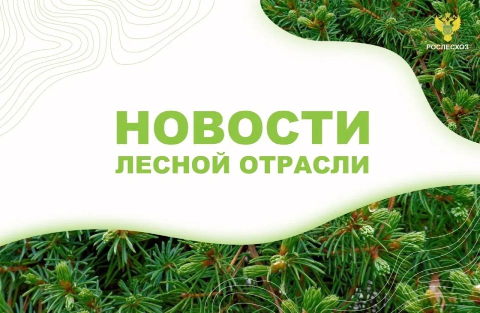 ����: � �������� �������� ����� �� 85 ��� � ������ ����� "��� ������"