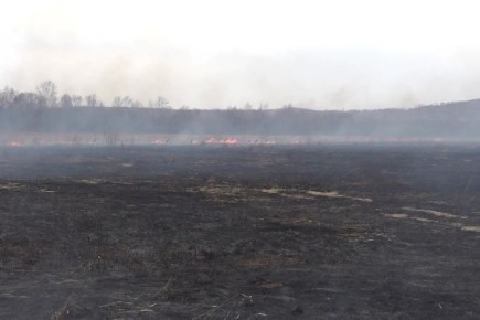 �� ���������� ��� �������� ���� �������������� ������ �����