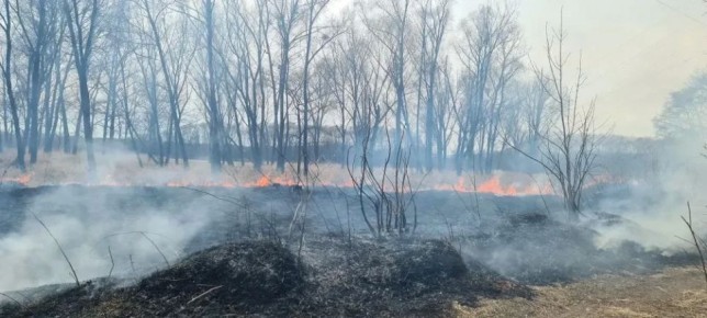 ����� �� ������� ������. ����������: � ��������� ���������� ������� ���������� ����������� ������ ��������������� �����