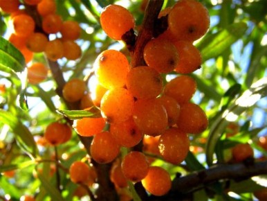 ��� �������� �������� �� ����������: ������� ������ � ����������� �����