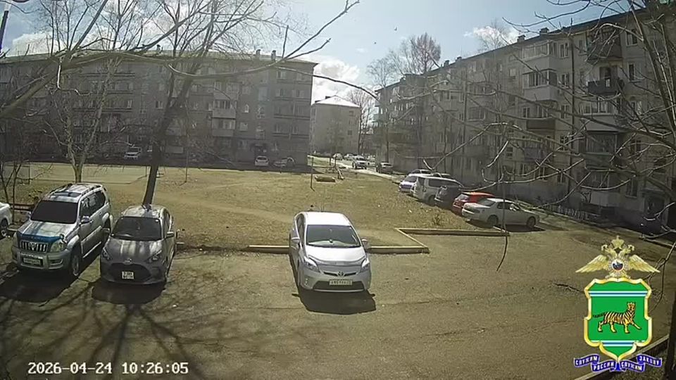 ������������ ������� � ���������� ����������� � ����������������� � �����������