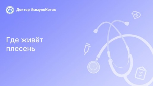 ����������� ������� �������