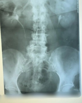 ������� ��������� ������������ ��������� � ������������ �������� �������� ���