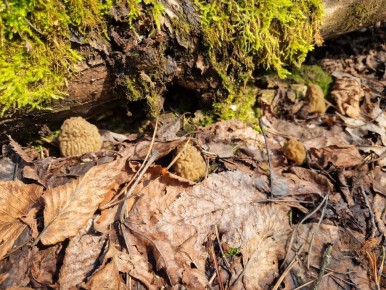 ������� ����� � ������: ����� ����� ���� ����� ����?