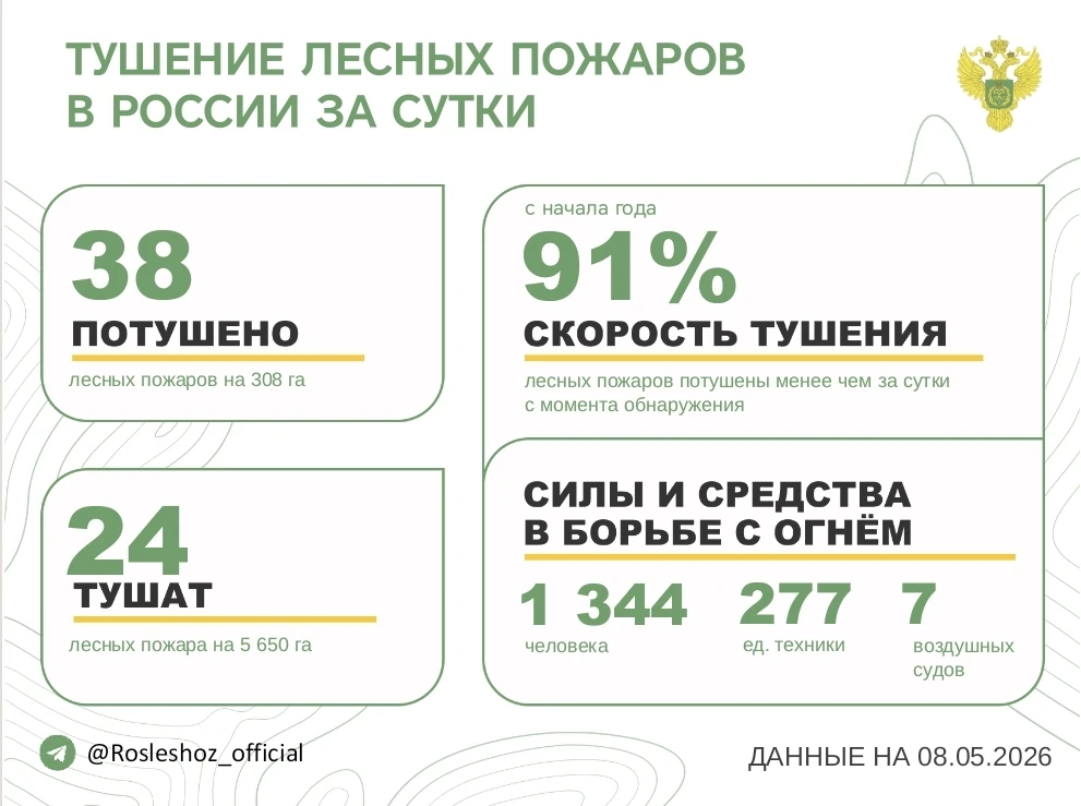 За прошедшие сутки в 16 регионах России потушили 38 лесных пожаров