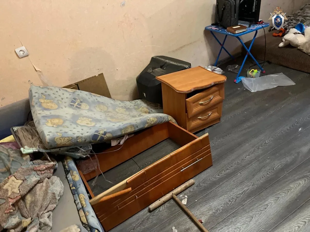 В Хабаровском крае вынесен приговор в отношении двух фигурантов по уголовному делу об истязании и убийстве ребенка
