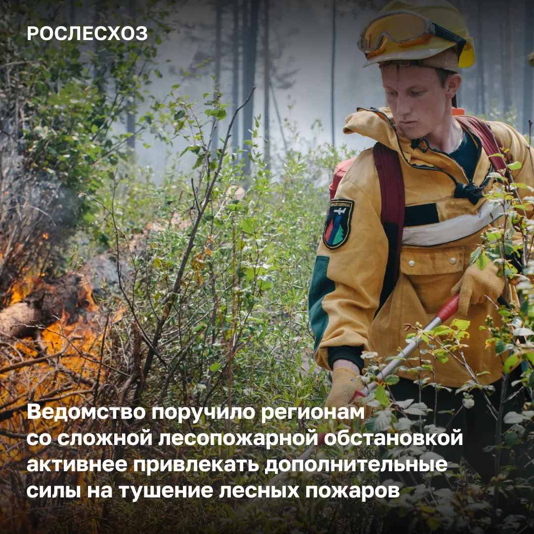 Сегодня среди всех регионов России наиболее сложная лесопожарная обстановка отмечается на территории Еврейской автономной области, Амурской области и Хабаровского края