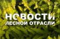 Интерфакс: К борьбе с лесными пожарами на Дальнем Востоке нужно привлекать все силы - Рослесхоз