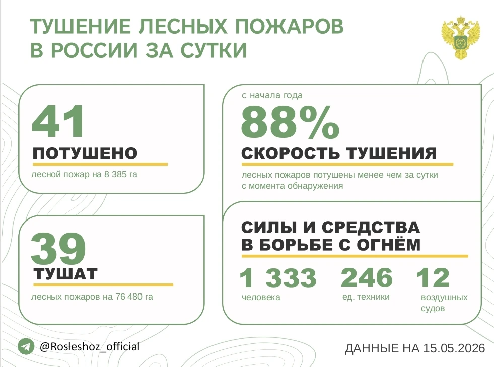 За прошедшие сутки в 14 регионах России потушили 41 лесной пожар