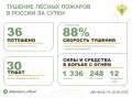 За прошедшие сутки в 13 регионах России потушили 36 леснойых пожаров