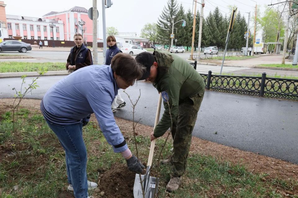 «Нить поколений»: депутаты и сотрудники Думы высадили сирень в память о героях «Нить поколений»: депутаты и сотрудники Думы высадили сирень в память о героях