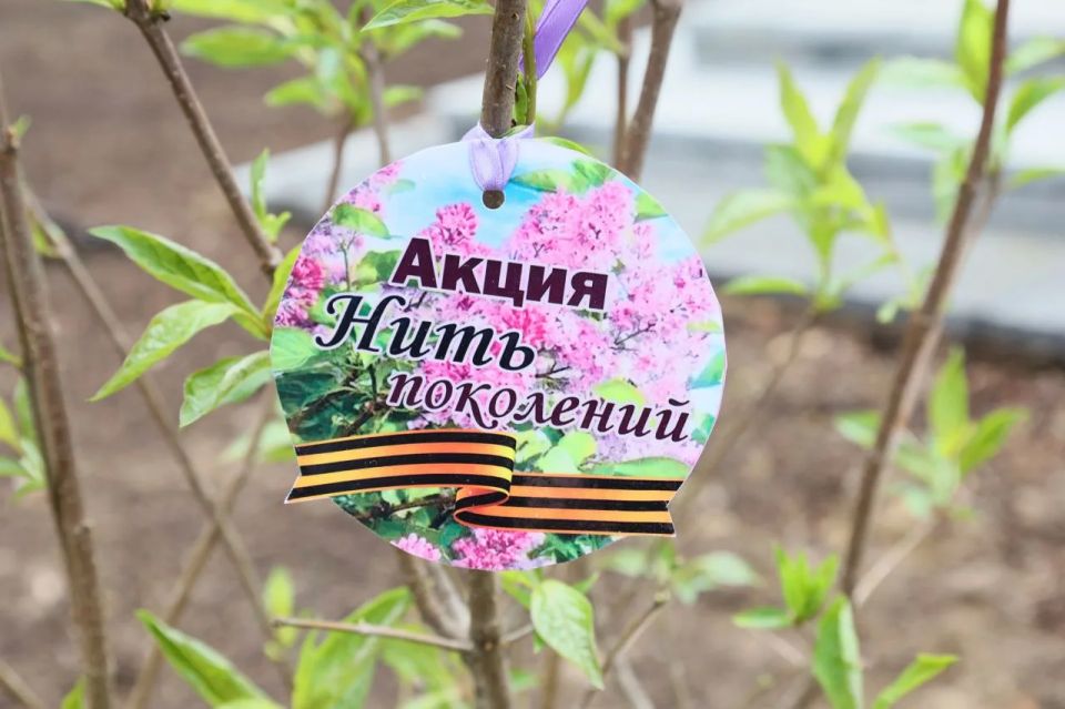 «Нить поколений»: депутаты и сотрудники Думы высадили сирень в память о героях «Нить поколений»: депутаты и сотрудники Думы высадили сирень в память о героях