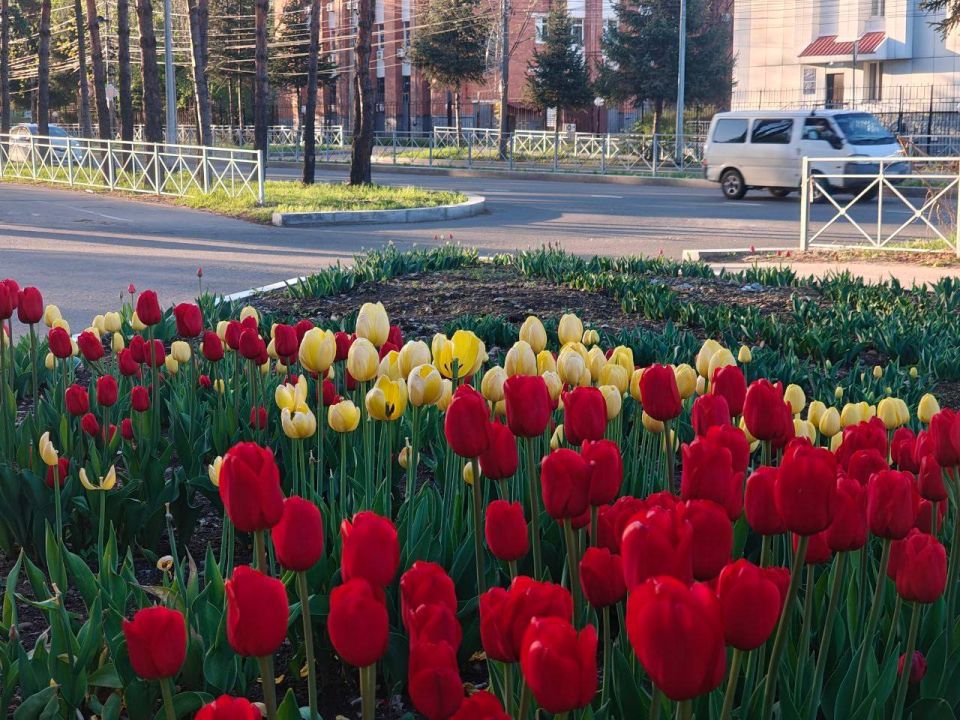 Доброе утро, любимые подписчики!