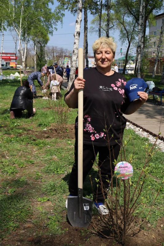 «Нить поколений» продолжается: в Биробиджане высадили сирень у станции скорой помощи «Нить поколений» продолжается: в Биробиджане высадили сирень у станции скорой помощи