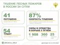 �� ��������� ����� � 23 �������� ������ �������� 41 ������ �����