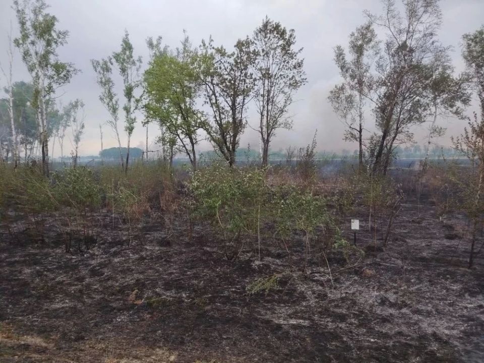 На полигоне ТБО в Биробиджане ликвидируют возгорание На полигоне ТБО в Биробиджане ликвидируют возгорание