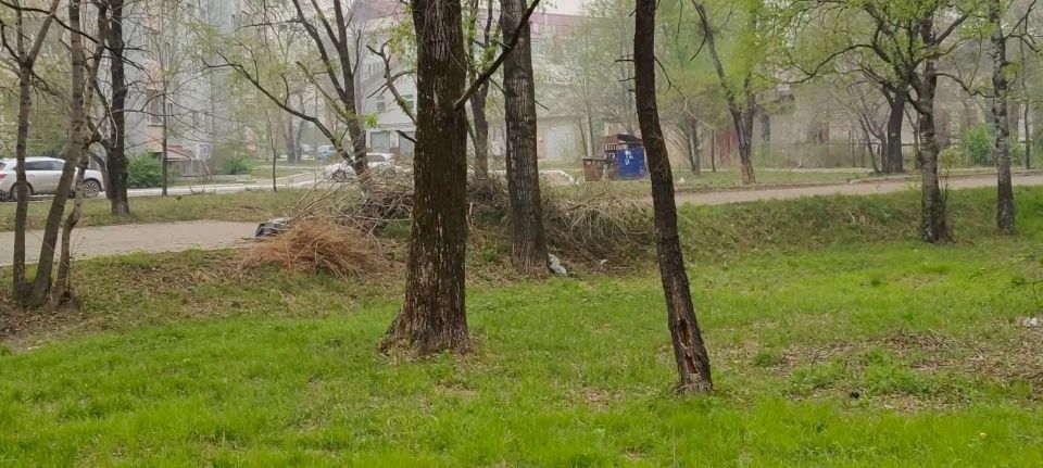Мэр Алексей Кузьмин провел обход улиц Биробиджана Мэр Алексей Кузьмин провел обход улиц Биробиджана