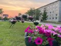 До 32С и ливни: какая погода ожидает в июне жителей ЕАО
